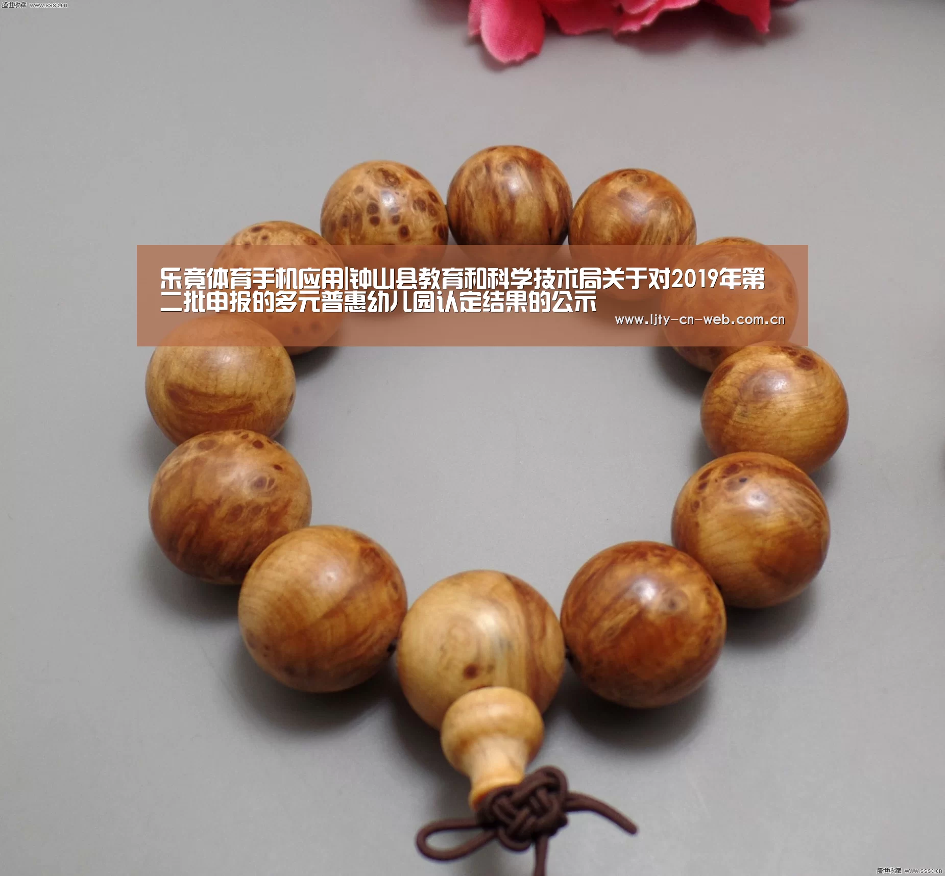  乐竟体育手机应用