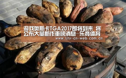 游戏奥斯卡TGA2017即将到来 将公布大量新作重磅消息-乐竟体育App下载(图4) 乐竟体育手机应用