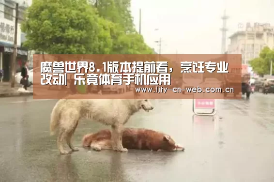  乐竟体育手机应用