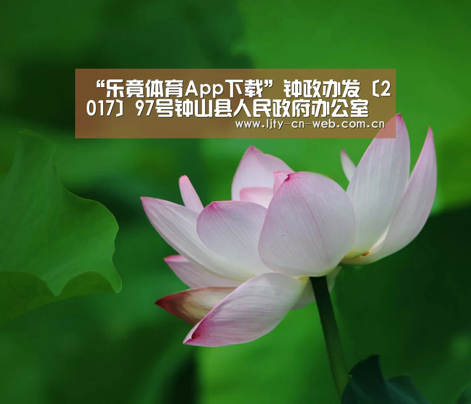 “乐竟体育App下载”钟政办发〔2017〕97号钟山县人民政府办公室关于印发2017年钟山县农村居民因灾倒损住房恢复重建实施方案的通知(图3) 乐竟体育App下载
